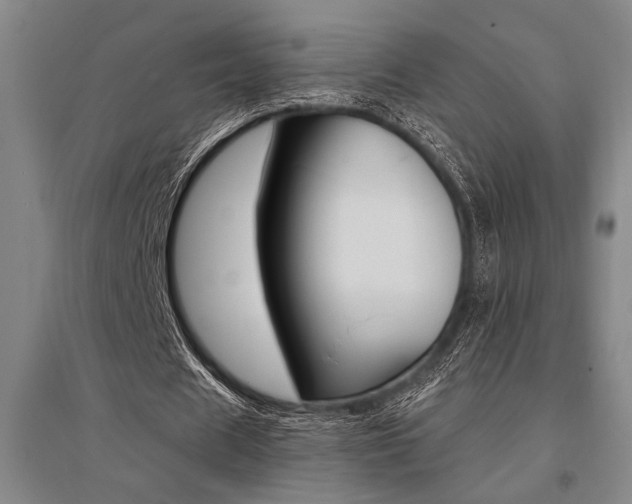X0000095540625200712141024