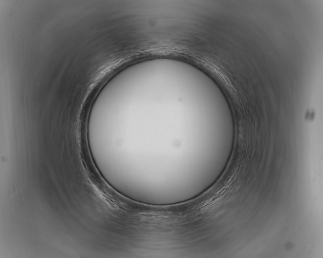X0000095540626200712141024
