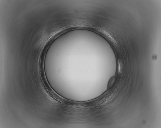 X0000095540627200712141024