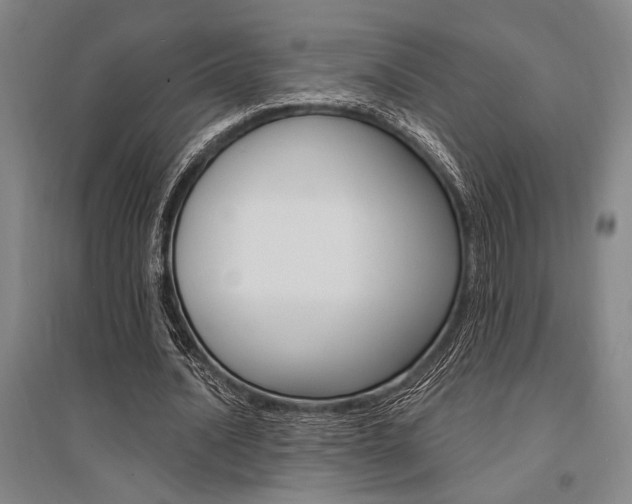 X0000095540628200712141024