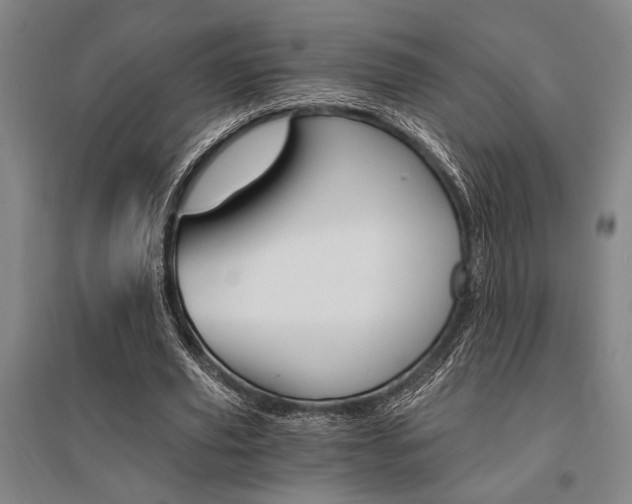 X0000095540629200712141024