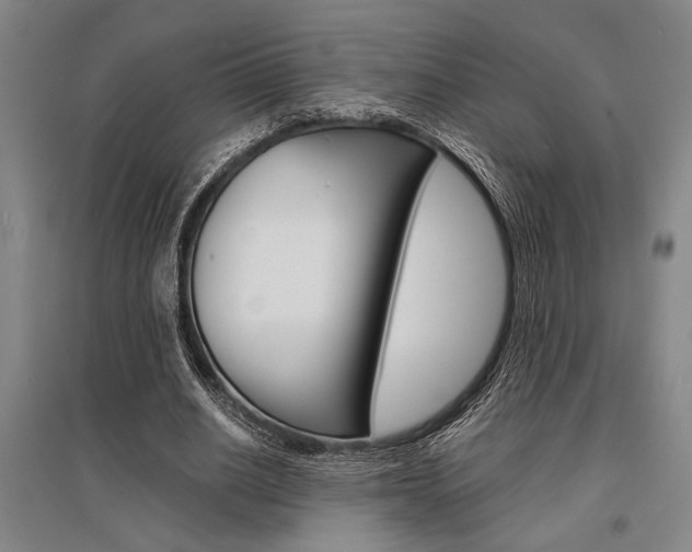 X0000095540630200712141024