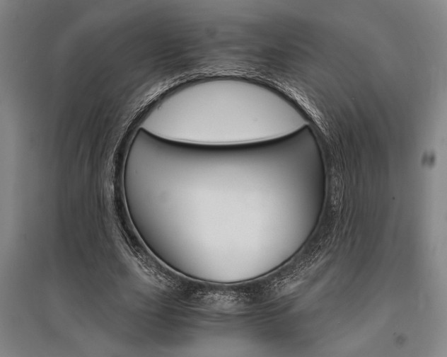 X0000095540631200712141024