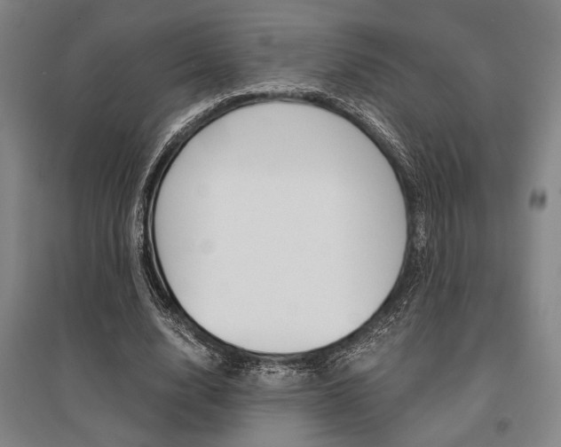 X0000095540632200712141024