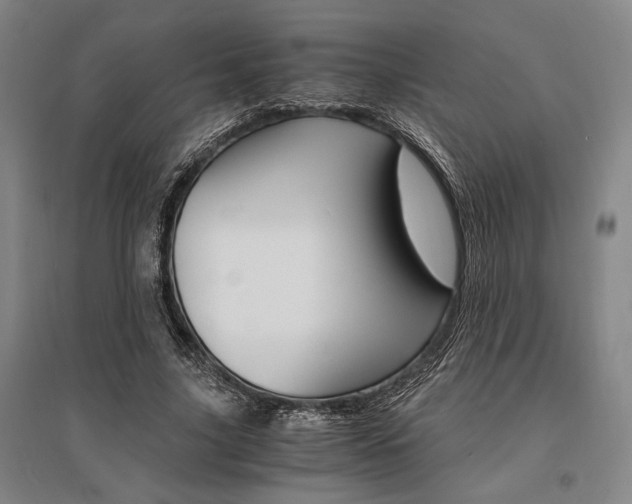 X0000095540635200712141024
