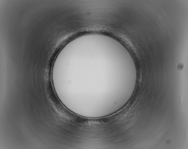 X0000095540636200712141024