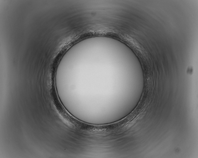 X0000095540638200712141025