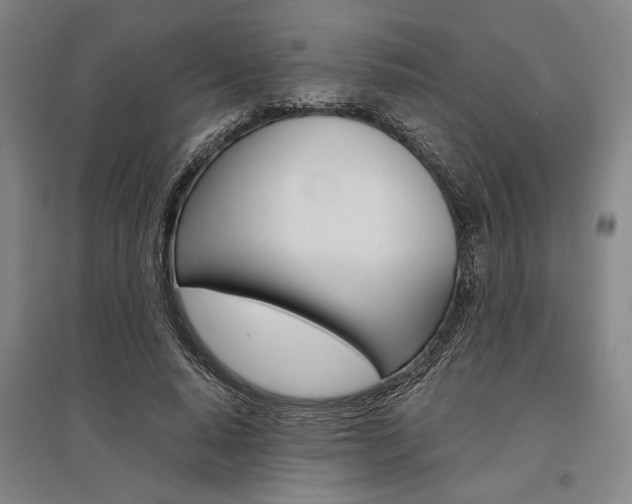 X0000095540640200712141025