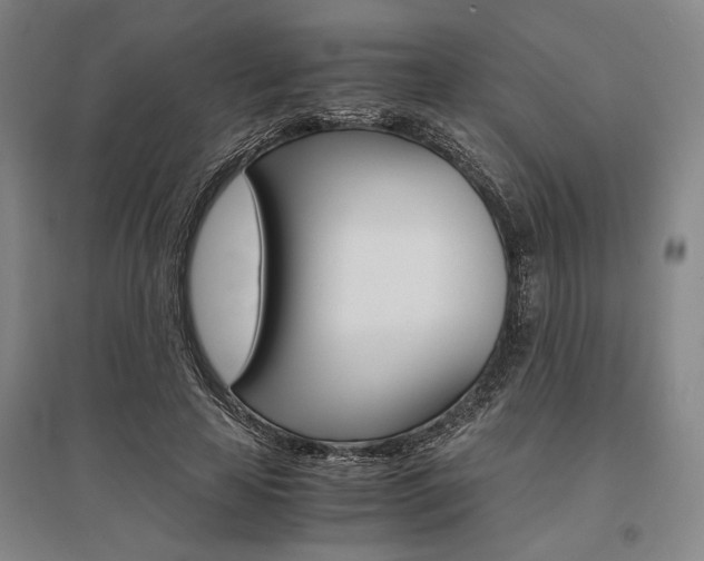X0000095540641200712141025