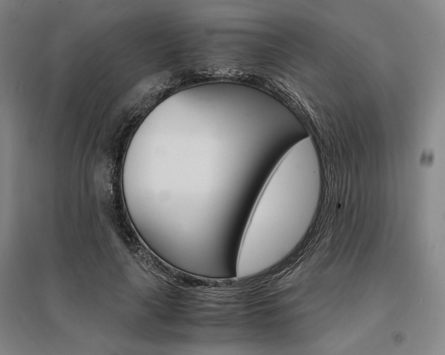 X0000095540643200712141025
