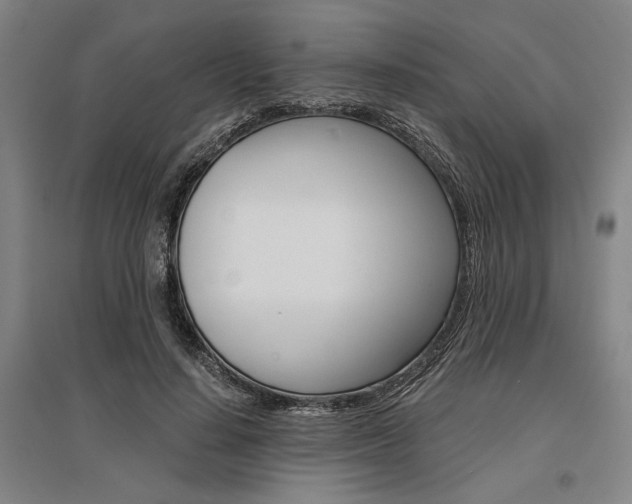 X0000095540644200712141025