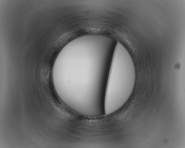 X0000095540645200712141025