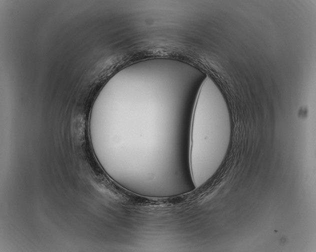 X0000095540646200712141025