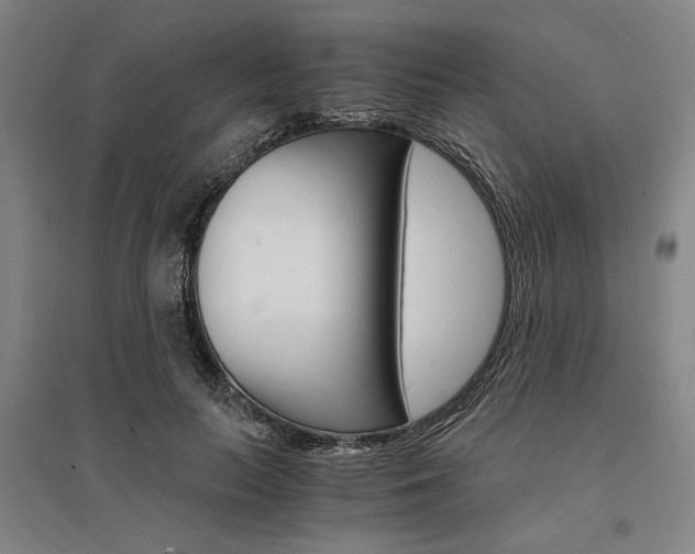X0000095540647200712141025