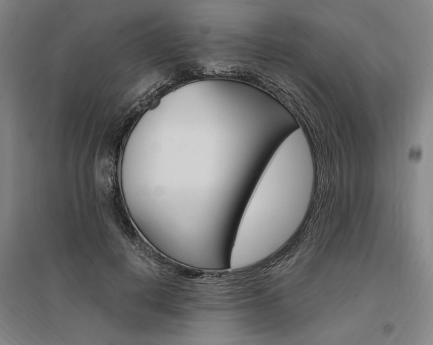 X0000095540648200712141025
