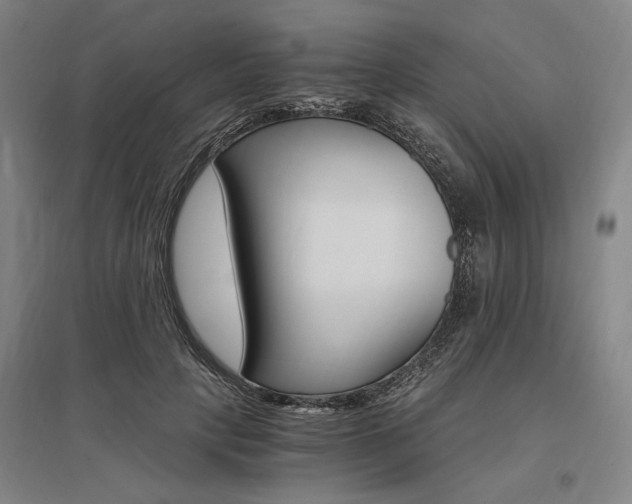 X0000095540649200712141025