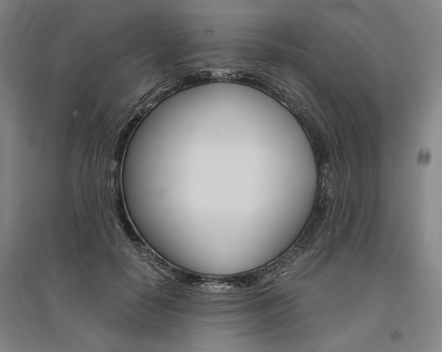 X0000095540650200712141025