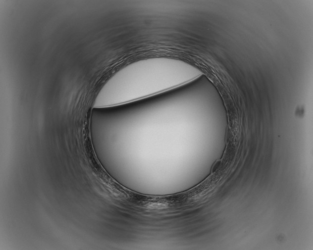 X0000095540653200712141025