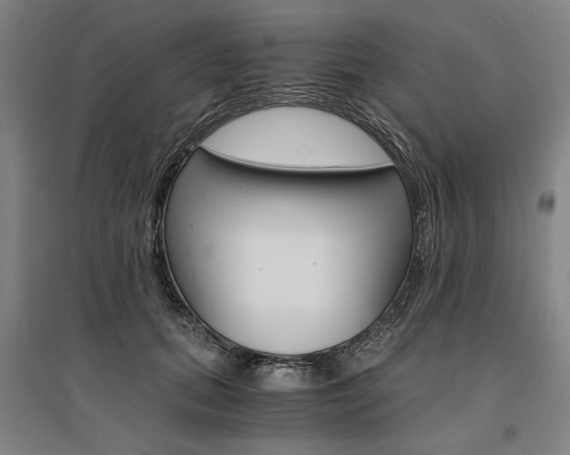 X0000095540655200712141025