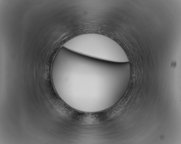 X0000095540656200712141025