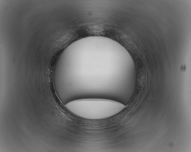 X0000095540658200712141025