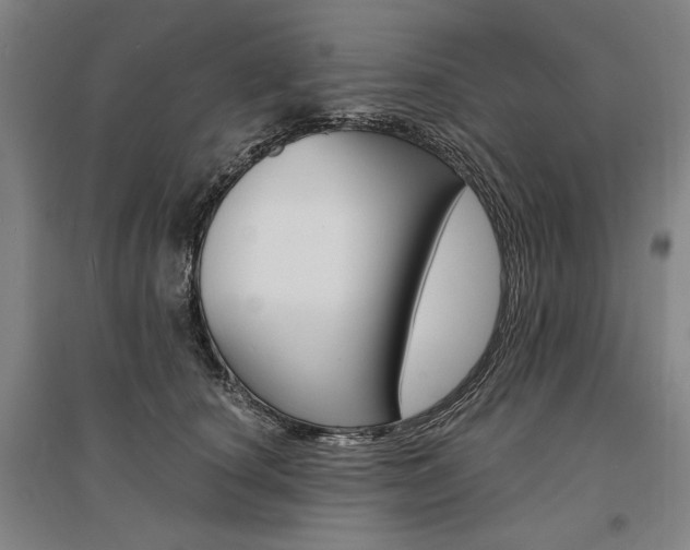 X0000095540660200712141025