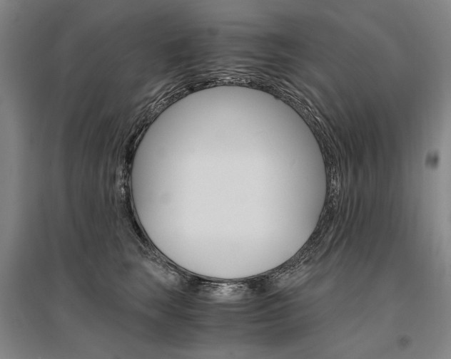 X0000095540663200712141025