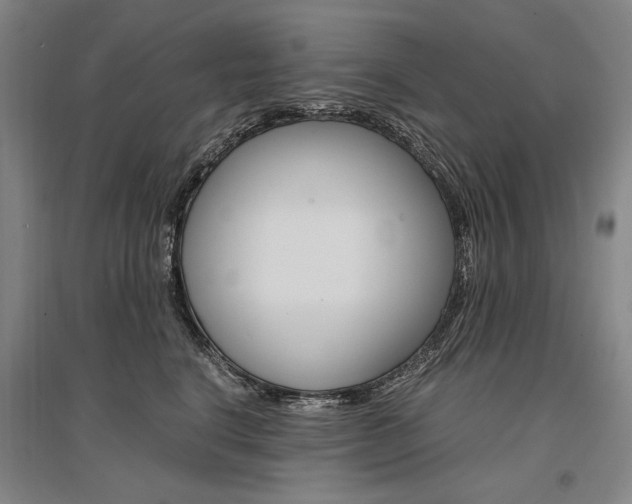 X0000095540664200712141025