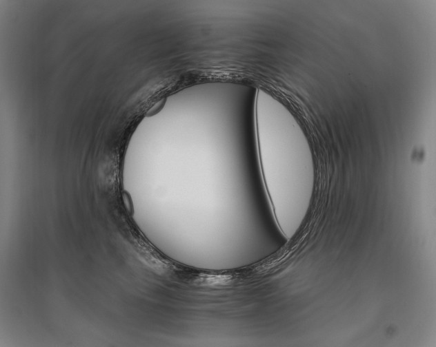 X0000095540665200712141025
