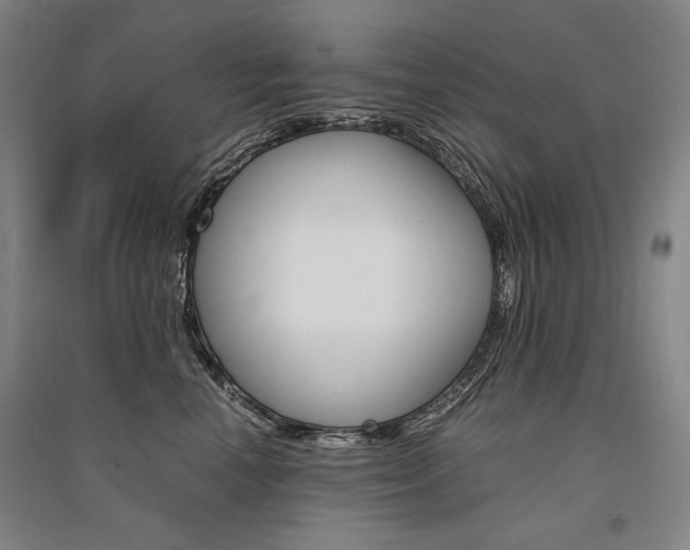 X0000095540666200712141025