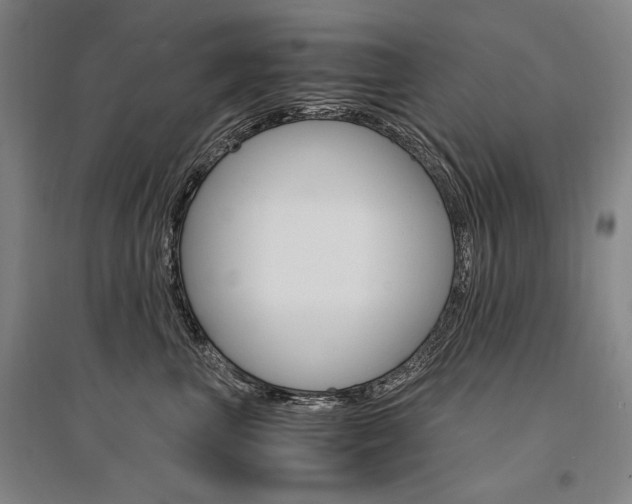 X0000095540667200712141025