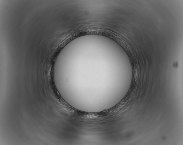 X0000095540668200712141025