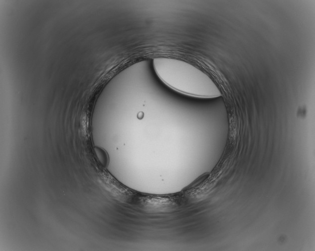 X0000095540669200712141025