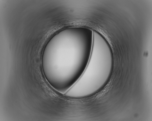 X0000095540673200712141024