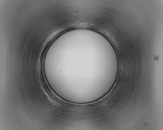 X0000095540674200712141024