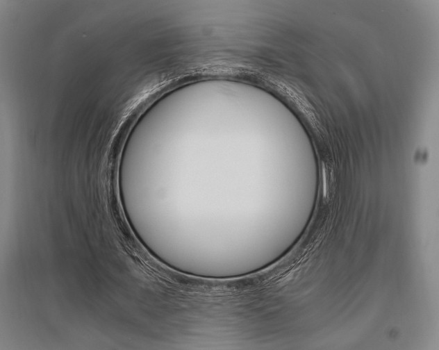 X0000095540675200712141024