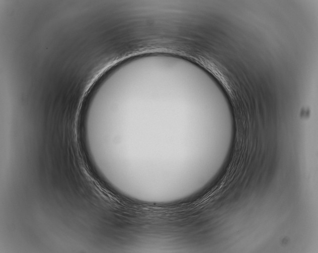 X0000095540676200712141024