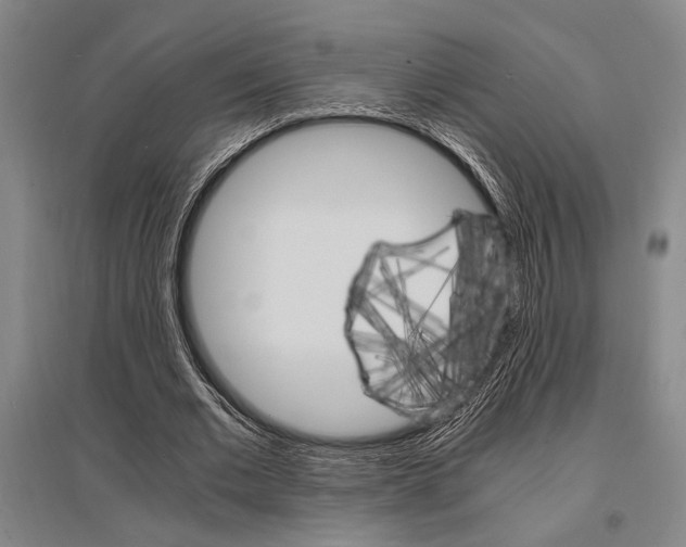 X0000095540677200712141024