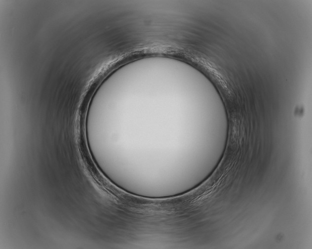 X0000095540678200712141024
