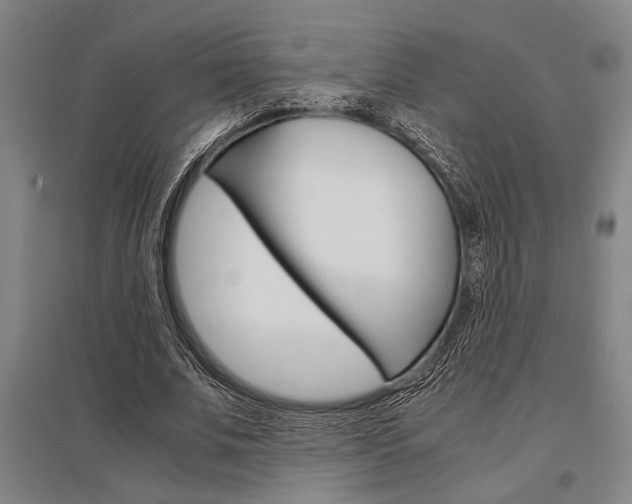 X0000095540679200712141024