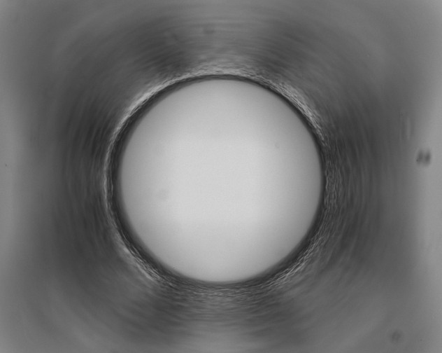 X0000095540680200712141024