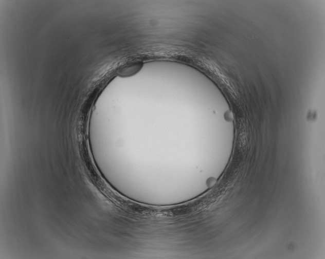 X0000095540683200712141024