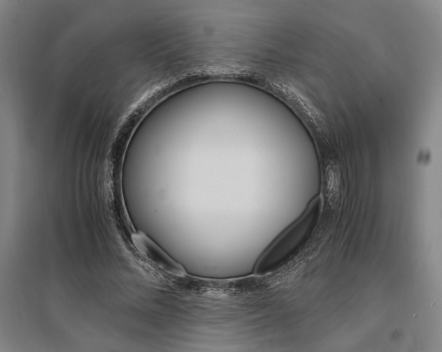 X0000095540684200712141024