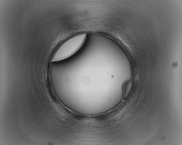 X0000095540685200712141024