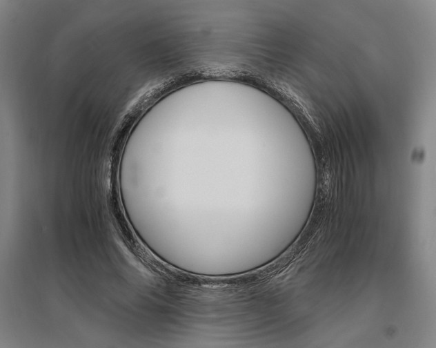 X0000095540686200712141024