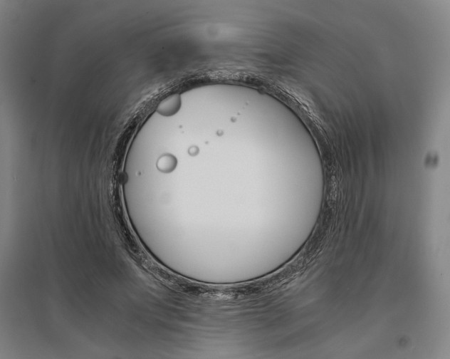 X0000095540687200712141024