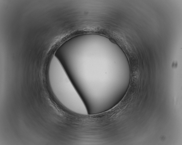 X0000095540688200712141024