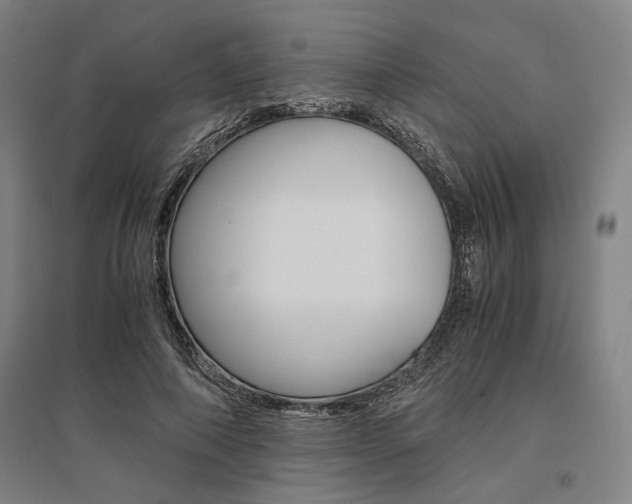 X0000095540690200712141024