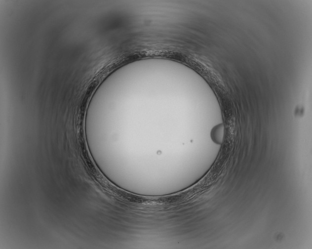 X0000095540691200712141024