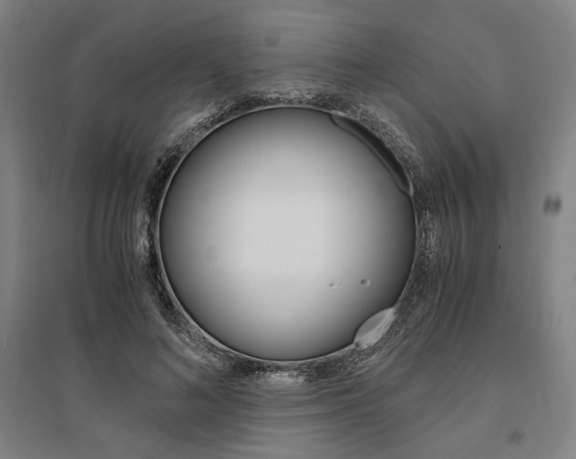 X0000095540692200712141024